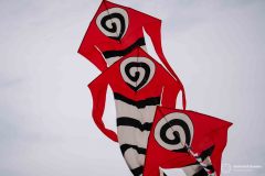 Riga_G_D_Austria165