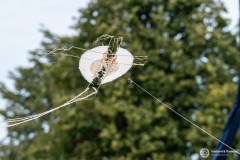Riga_G_D_Austria233