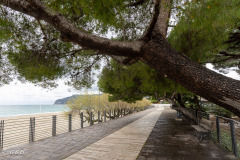 Spotorno_Spring_2024_016-8