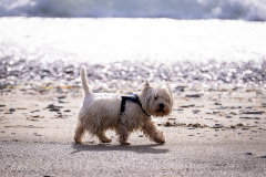 Spotorno_Spring_2024_029-21