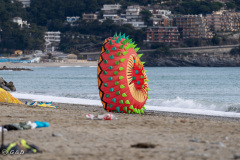 Spotorno_Spring_2024_039-31