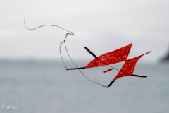 Spotorno_Spring_2024_043-35