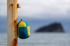 Spotorno_Spring_2024_045-37