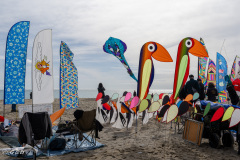 Spotorno_Spring_2024_062-54