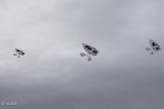 Spotorno_Spring_2024_077-69