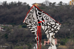 Spotorno_Spring_2024_083-75