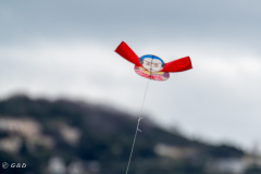 Spotorno_Spring_2024_088-80