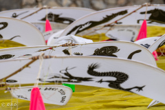 Spotorno_Spring_2024_091-83