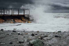 Spotorno_Spring_2024_109-101