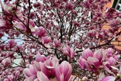 Spotorno_Spring_2024_122-114