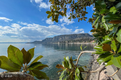 Spotorno_Spring_2024_125-117