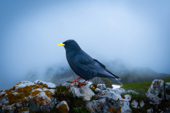 suedtirol_2024_018_ergebnis