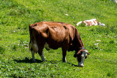 suedtirol_2024_030_ergebnis