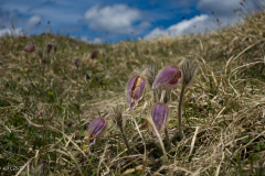 suedtirol_2024_049_ergebnis