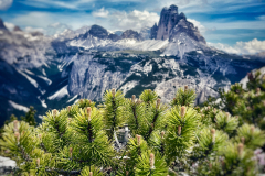 suedtirol_2024_060_ergebnis