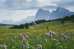 suedtirol_2024_069_ergebnis