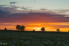 suedtirol_2024_097_ergebnis