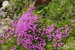 wanderurlaub_2026_108