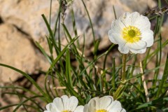 wanderurlaub_2026_130