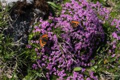 wanderurlaub_2026_131