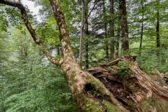wanderurlaub_2026_139