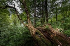 wanderurlaub_2026_140