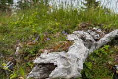 wanderurlaub_2026_151