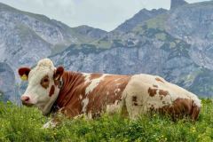 wanderurlaub_2026_152