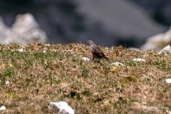 wanderurlaub_2026_203