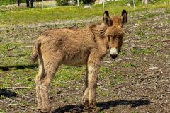 wanderurlaub_2026_206