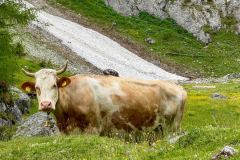 wanderurlaub_2026_227