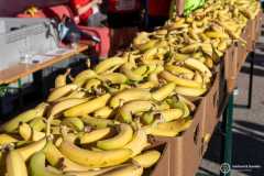 Vision_Run_2025_003_result