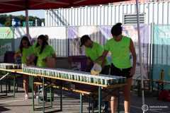 Vision_Run_2025_004_result