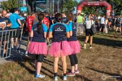 Vision_Run_2025_011_result